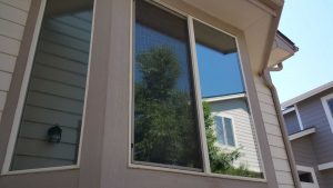 Residential window tint 7